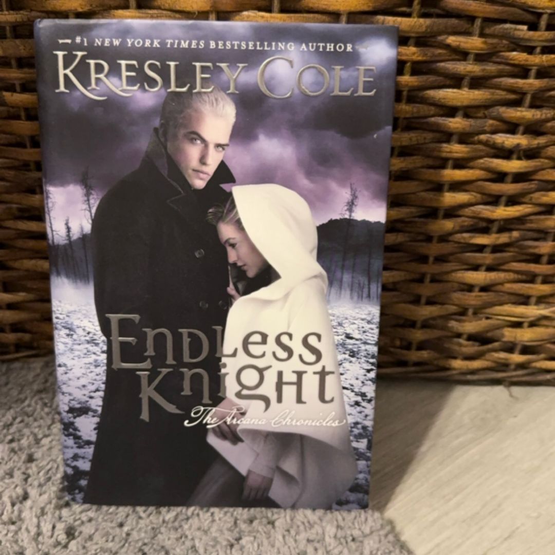 Endless Knight