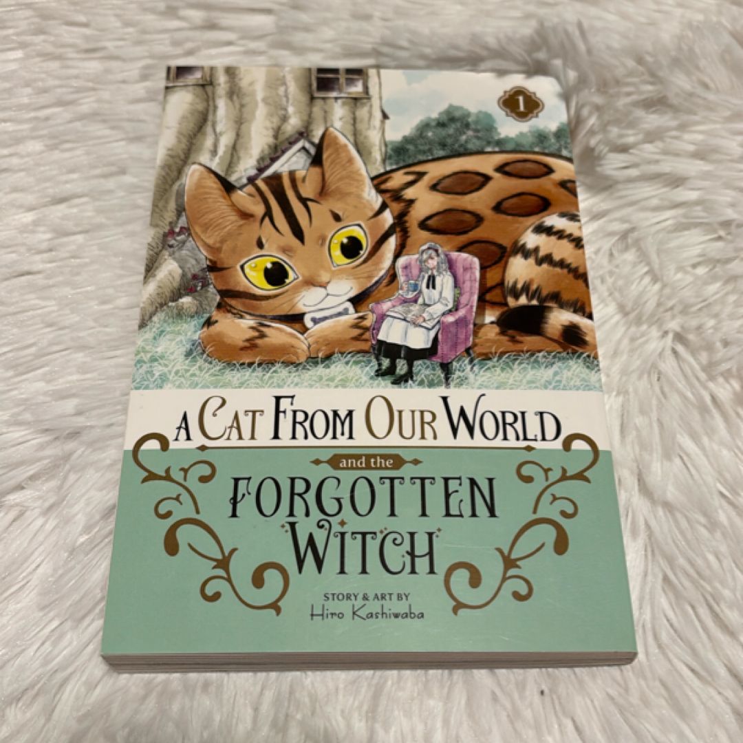 A Cat from Our World and the Forgotten Witch Vol. 1