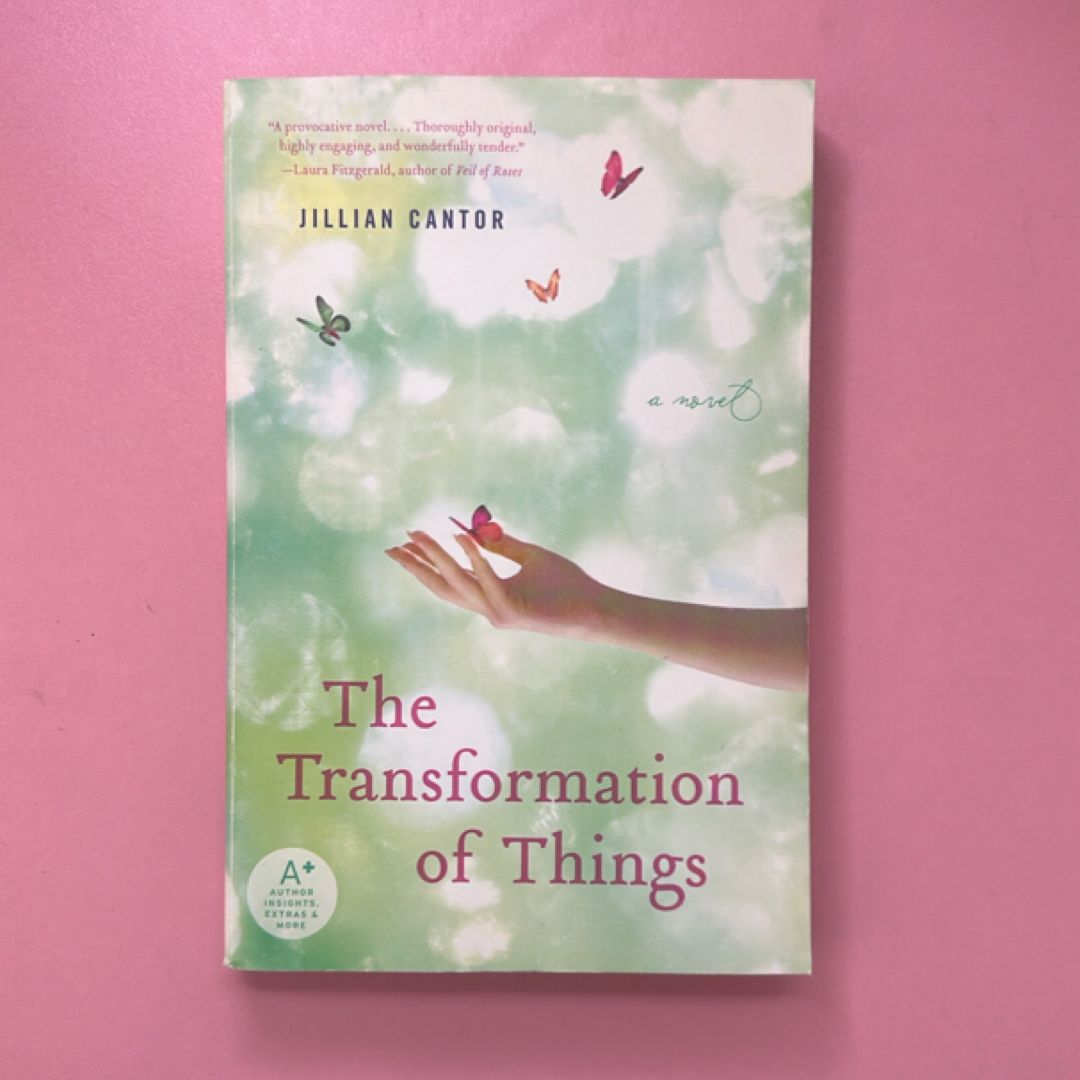 The Transformation of Things