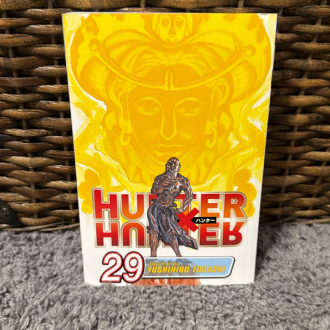 Hunter X Hunter, Vol. 29