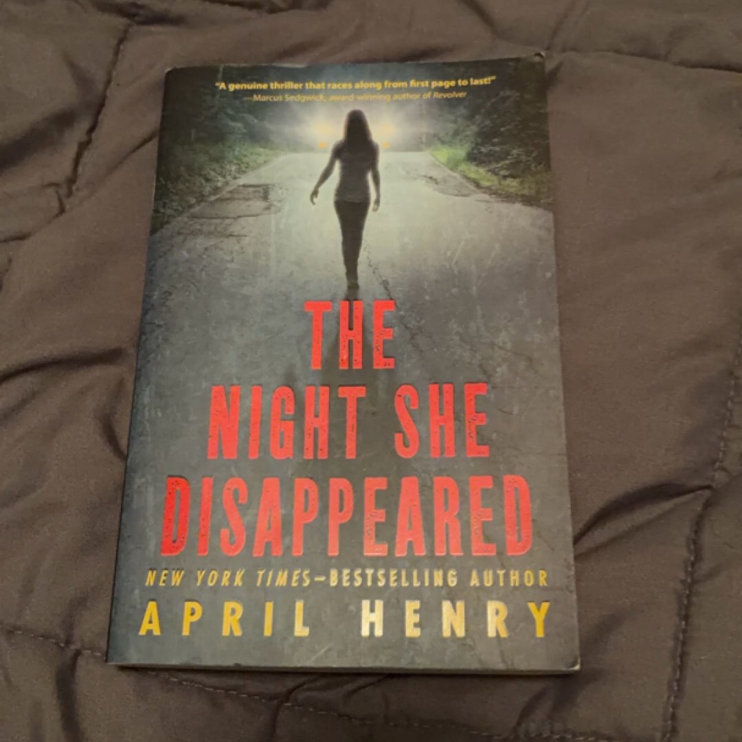 The Night She Disappeared