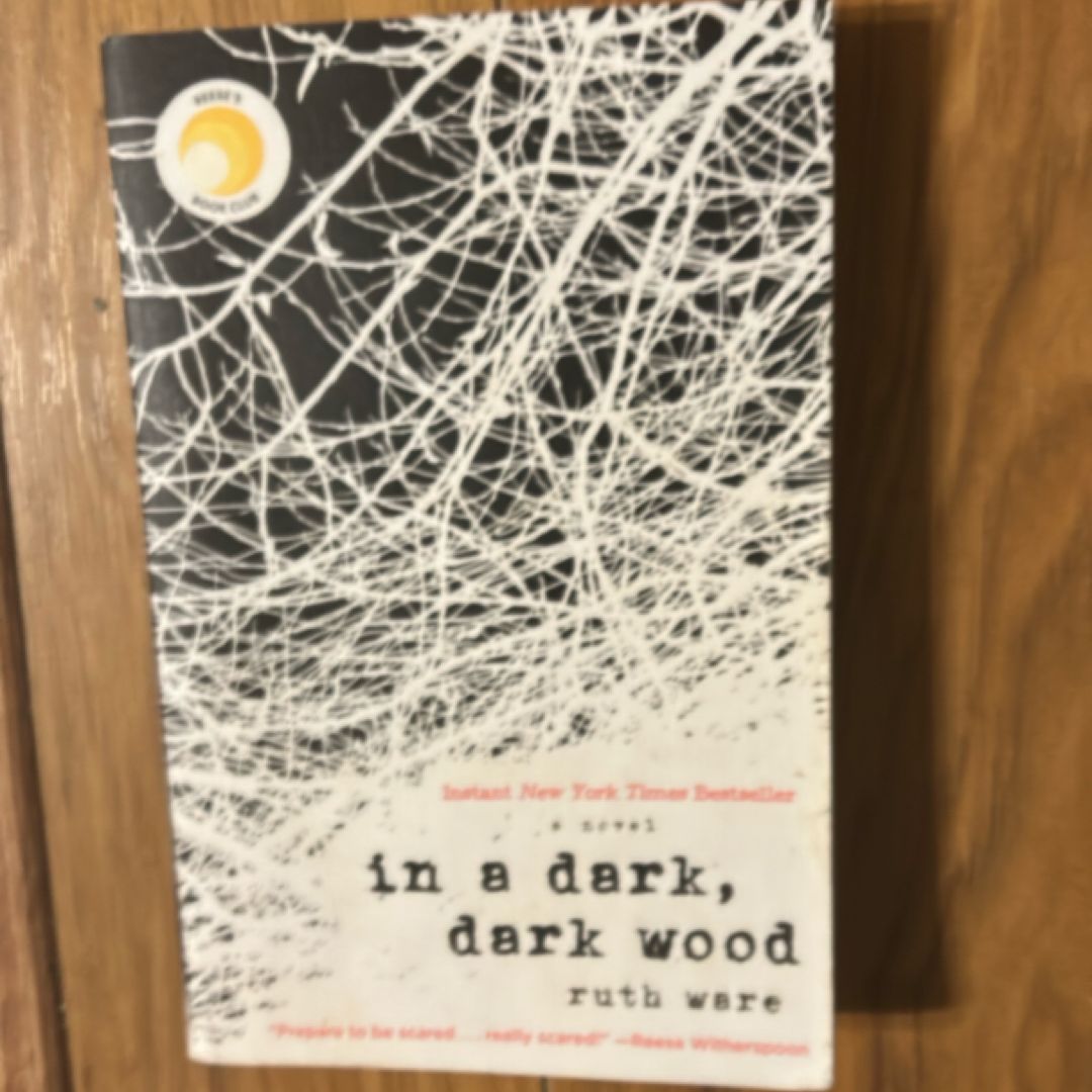In a Dark, Dark Wood