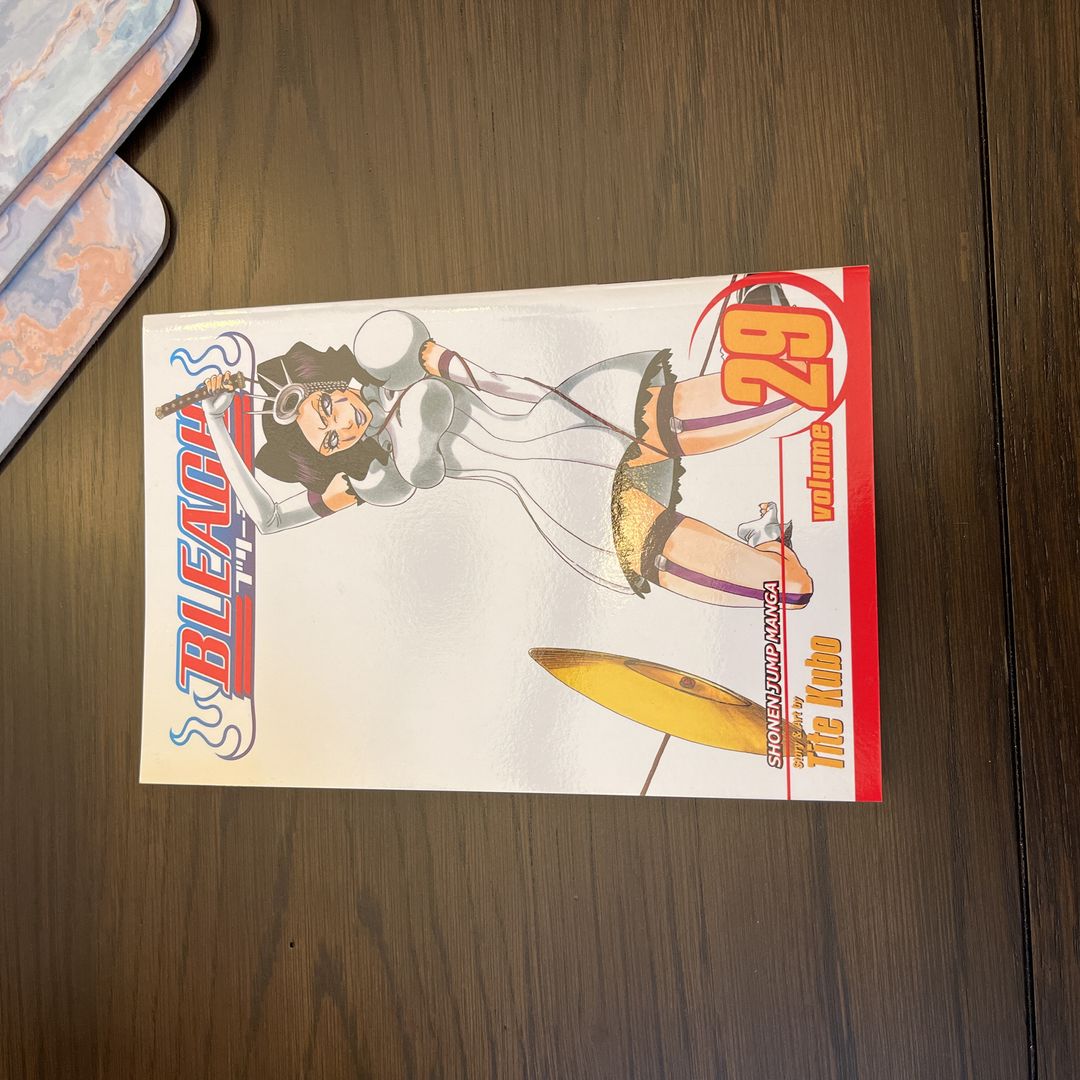 Bleach, Vol. 29