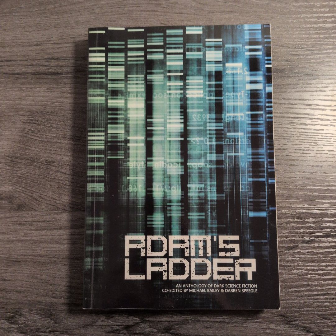 Adam's Ladder