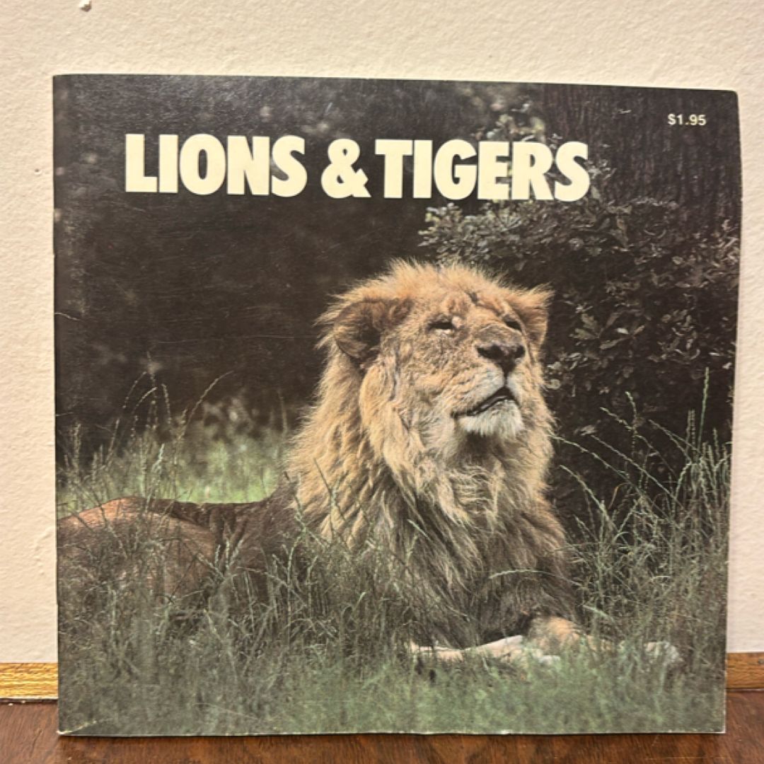 Lion and Tigers