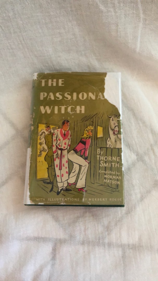 The Passionate Witch 
