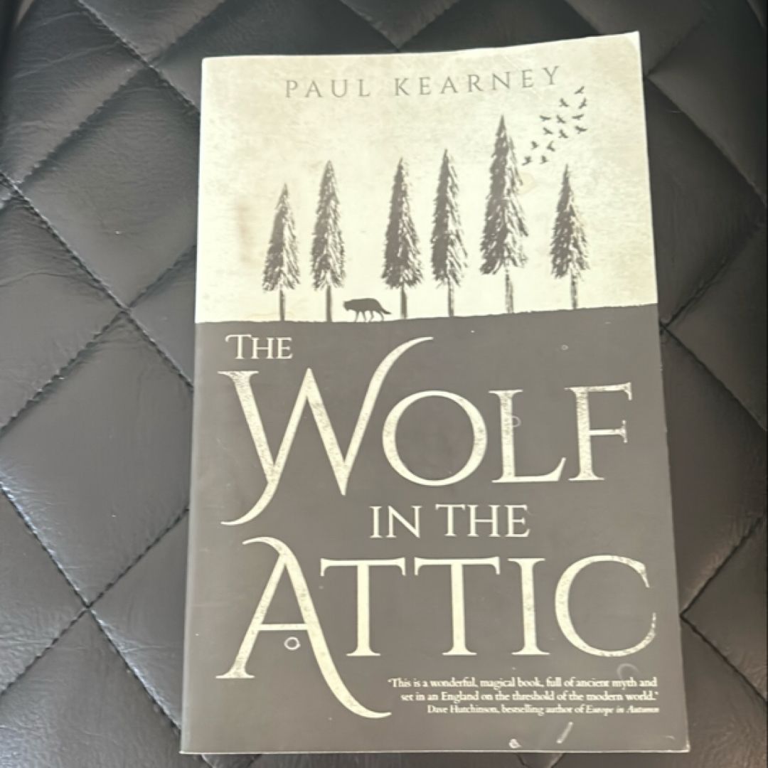 The Wolf in the Attic