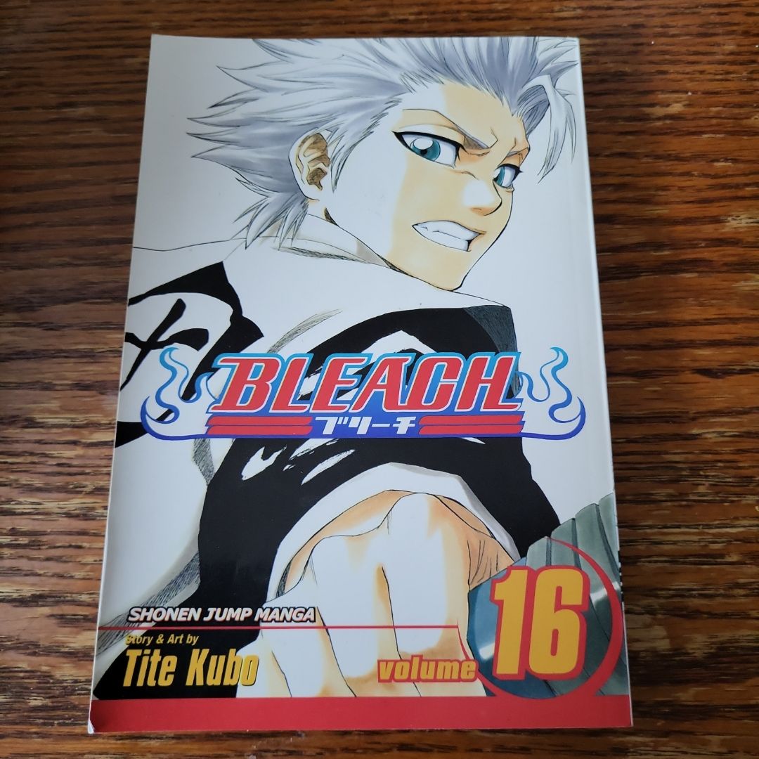 Bleach, Vol. 16