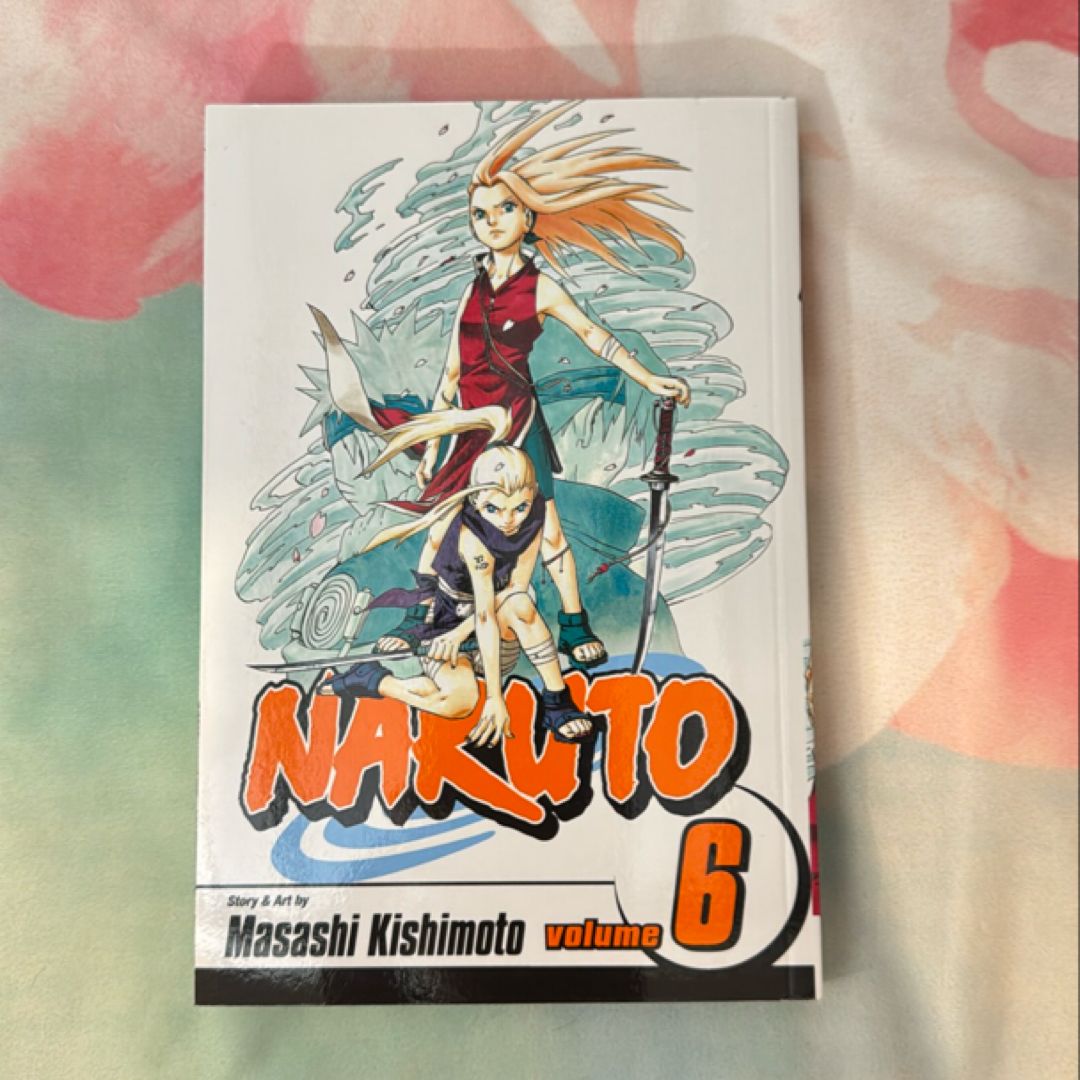 Naruto, Vol. 6