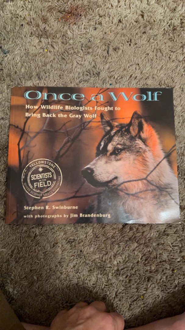 Once a Wolf