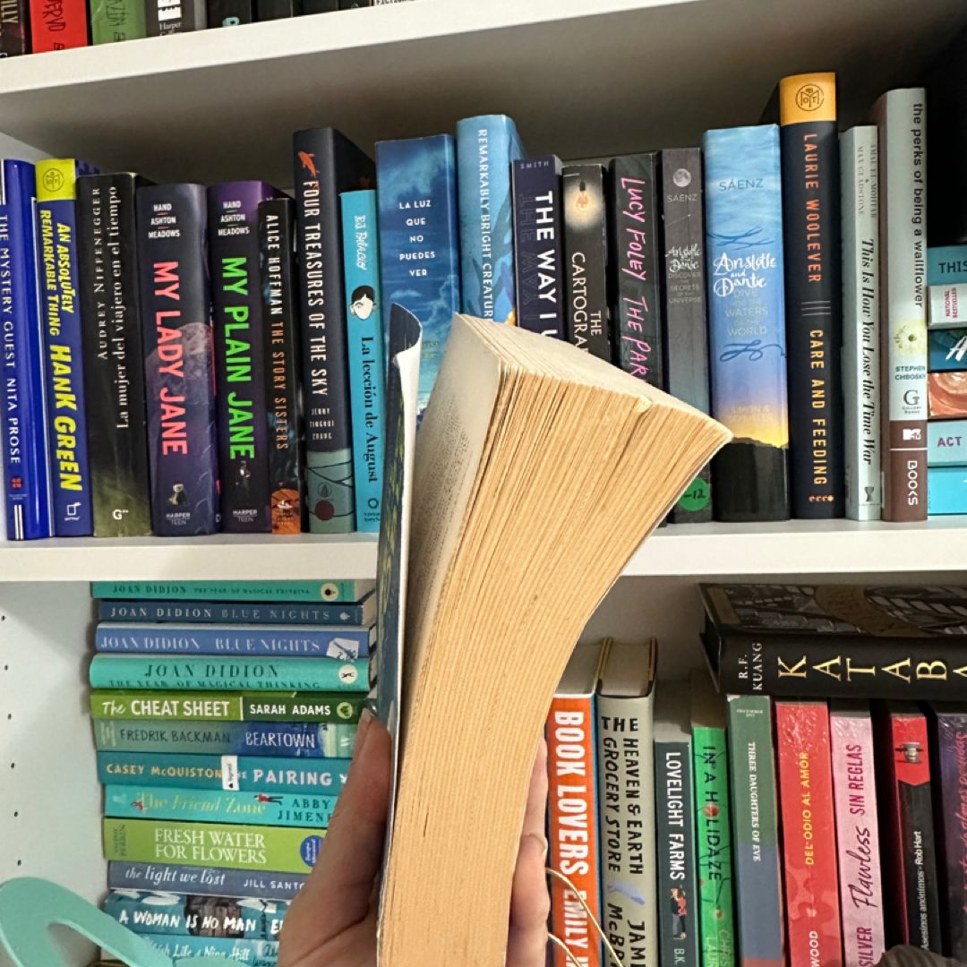 The Three-Body Problem