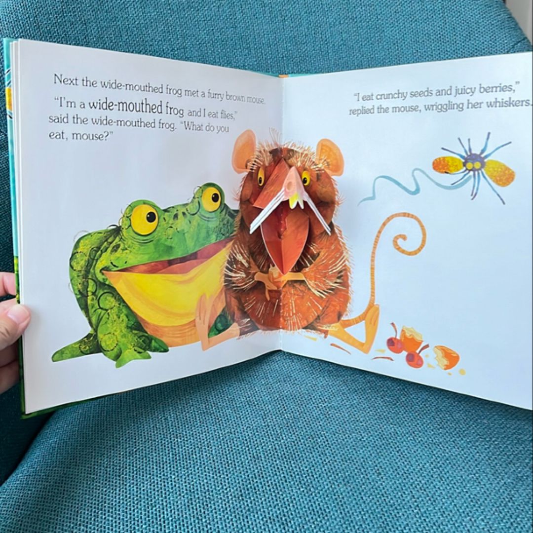 The Wide-Mouthed Frog (A Pop-Up Book) By Keith Faulkner – Hardcover, Good Condition