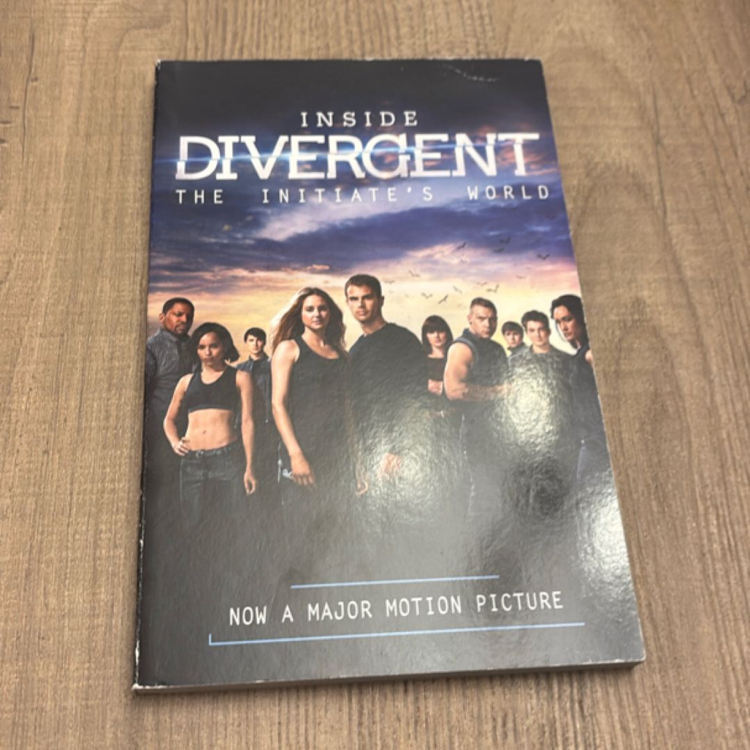 Inside Divergent: the Initiate's World