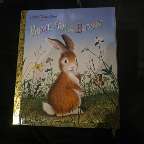 Home for a Bunny
