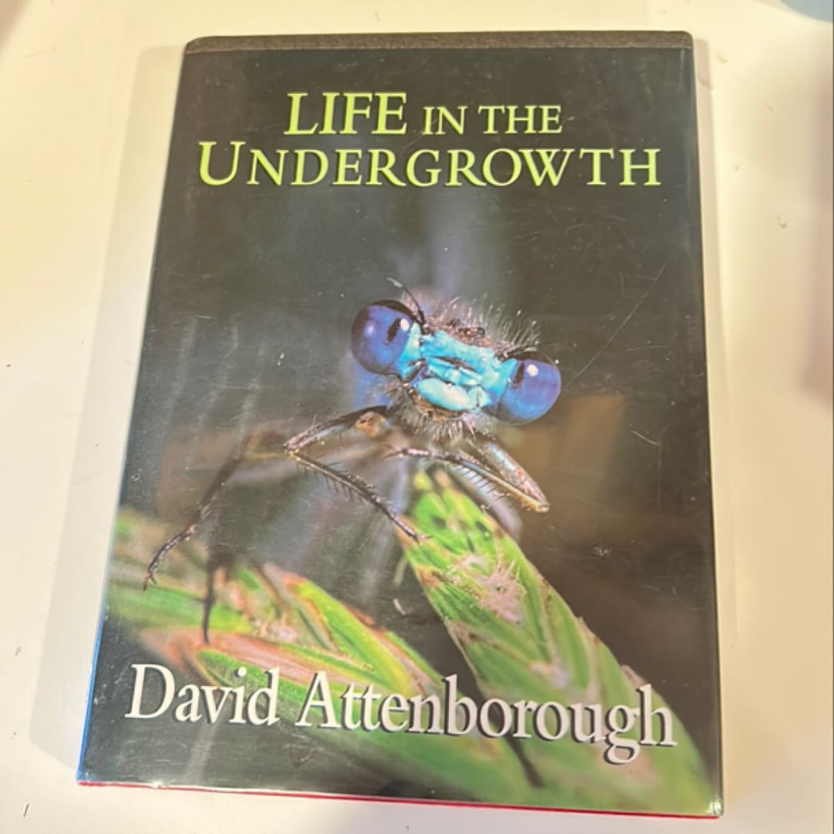 Life in the Undergrowth by David Attenborough