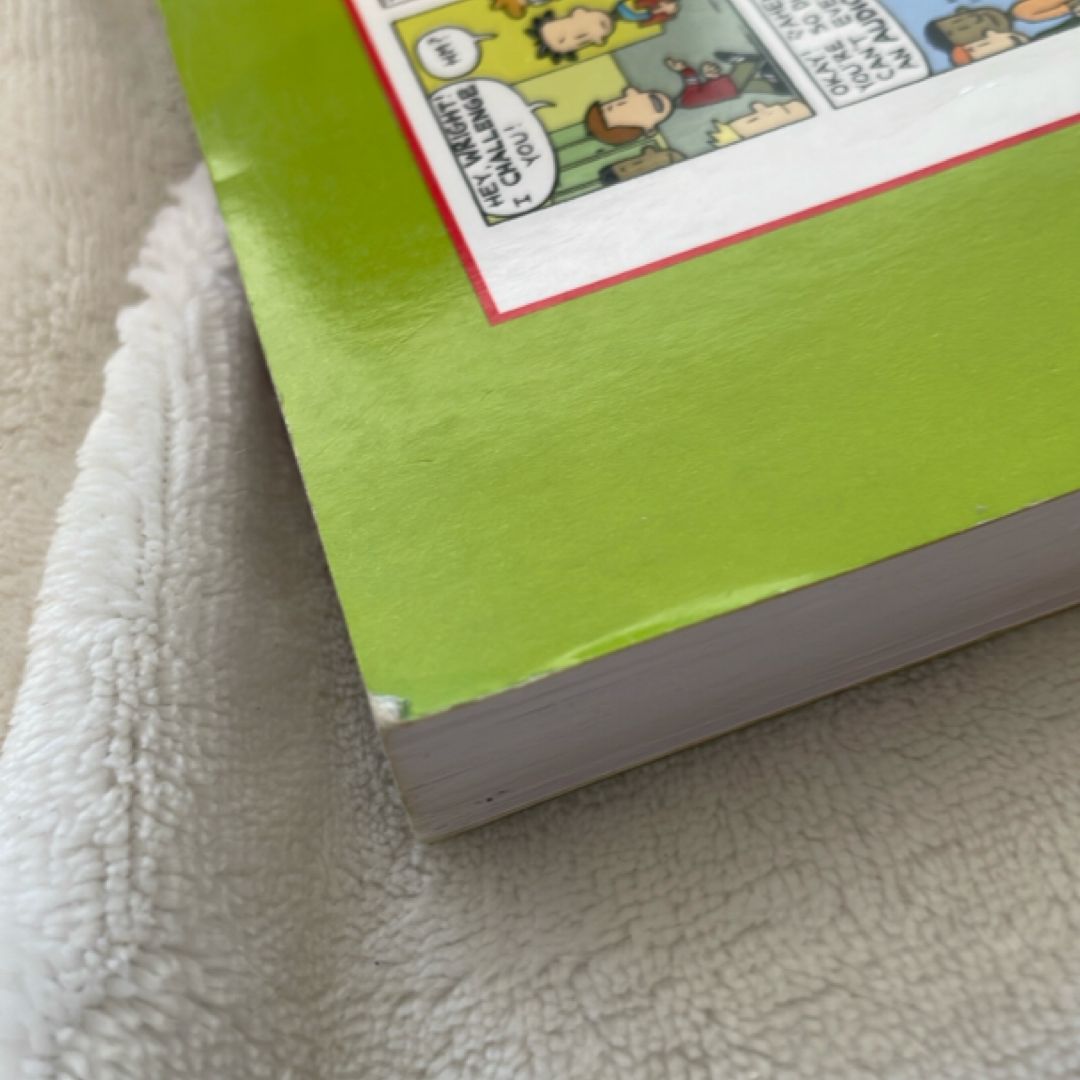 Big Nate: the Crowd Goes Wild!