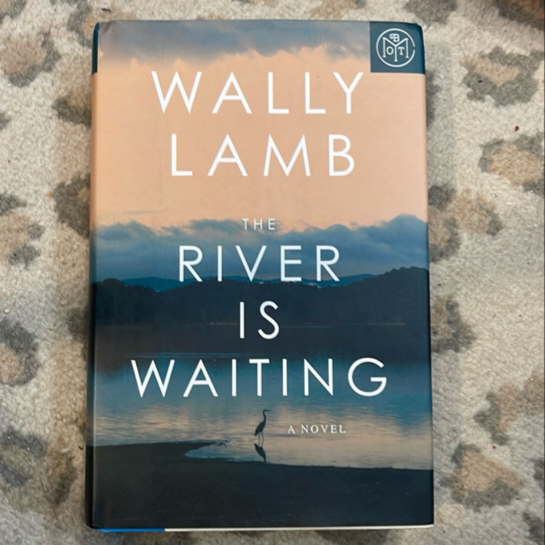 The River Is Waiting (Oprah's Book Club)