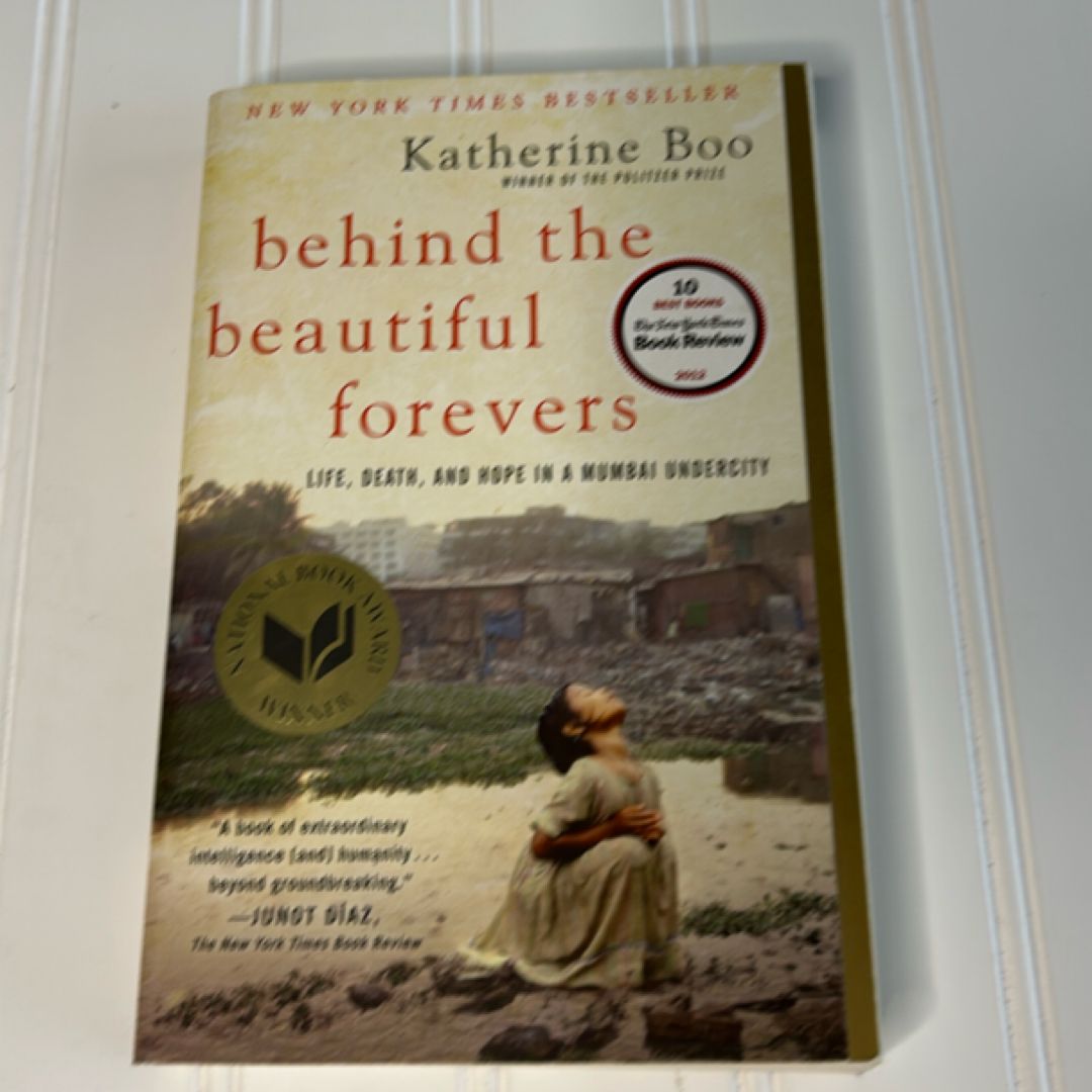 Behind the Beautiful Forevers