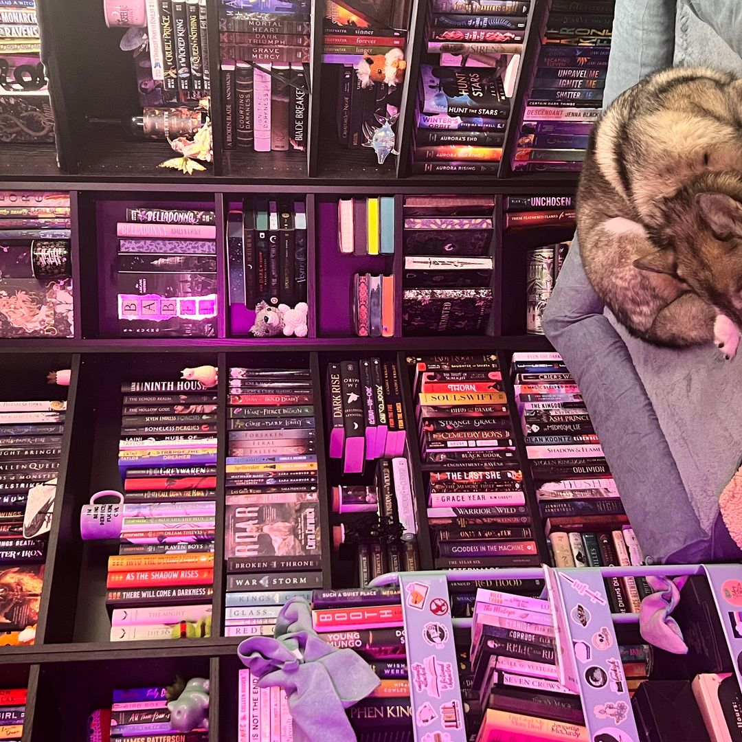 LotsaBooks