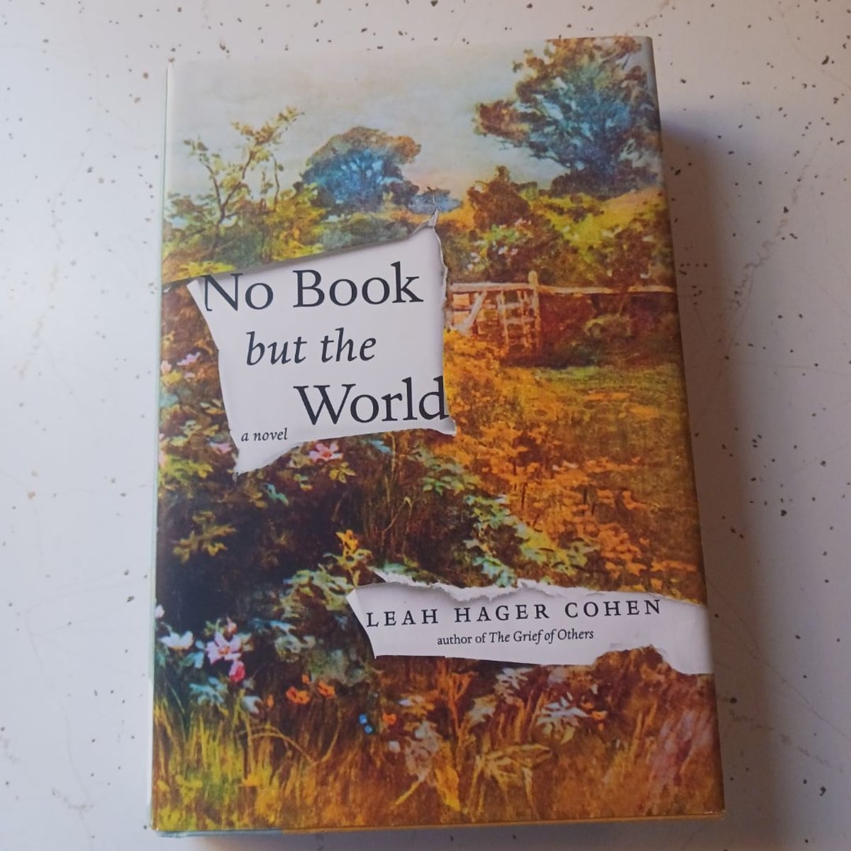 No Book but the World by Leah Hager Cohen