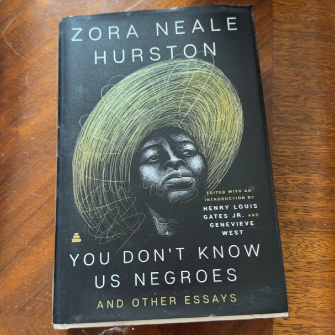 You Don't Know Us Negroes and Other Essays