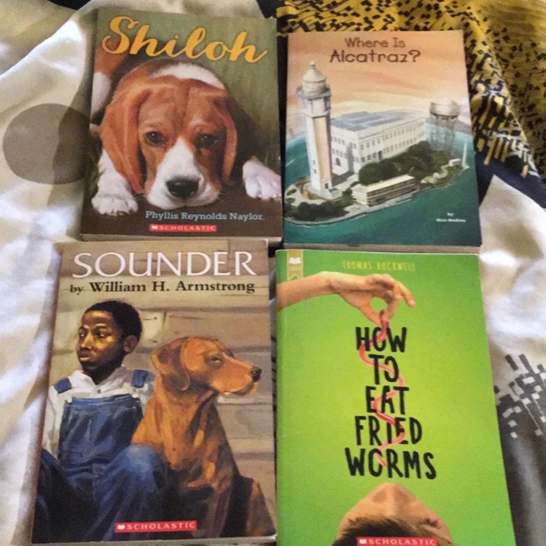 Scholastic book bundle