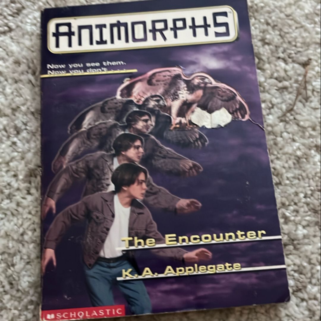 The Encounter