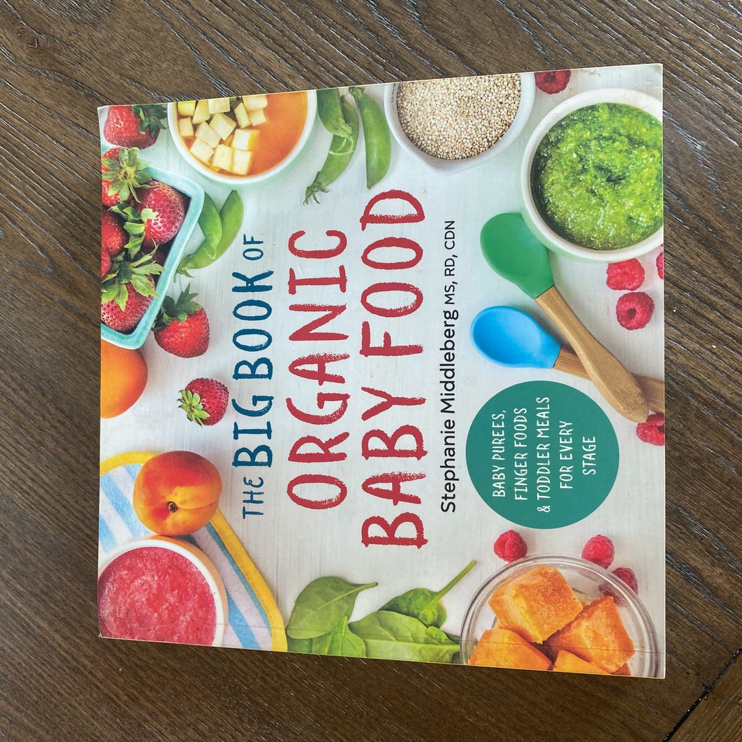 The Big Book of Organic Baby Food