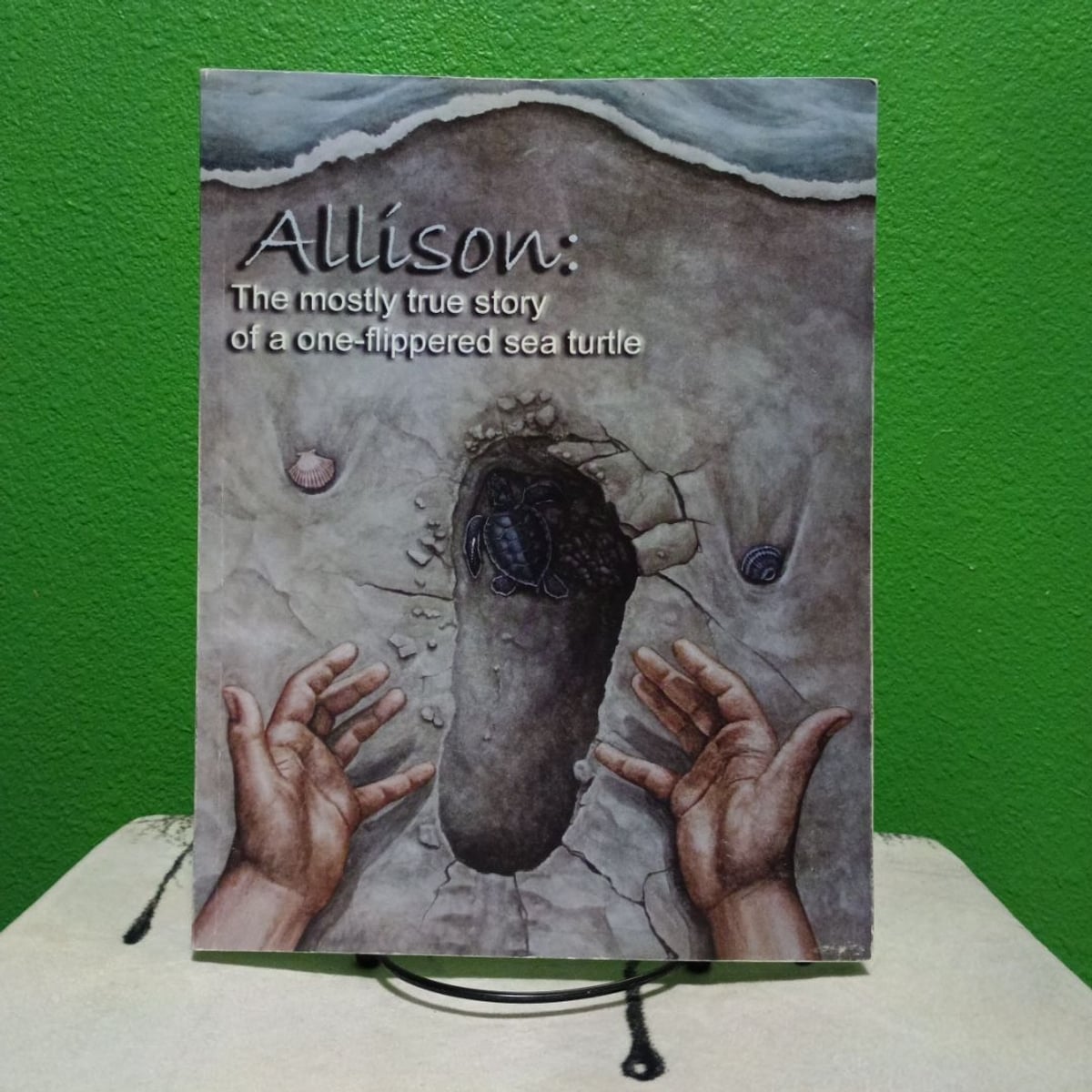 Allison: The Mostly True Story of a | PangoBooks