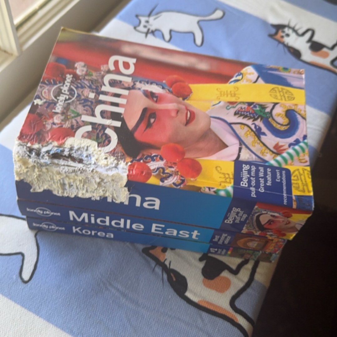 Lonely Planet Korea 11
