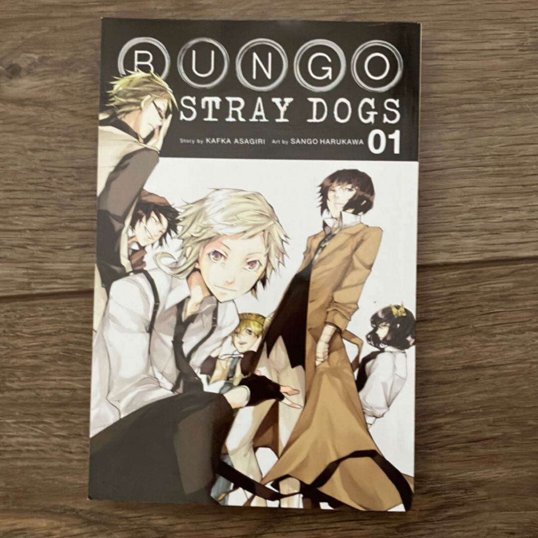 Bungo Stray Dogs, Vol. 1