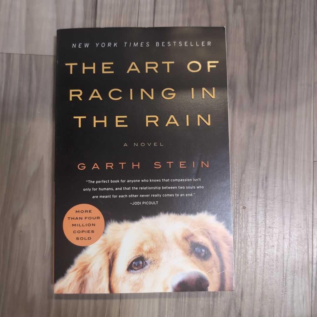The Art of Racing in the Rain