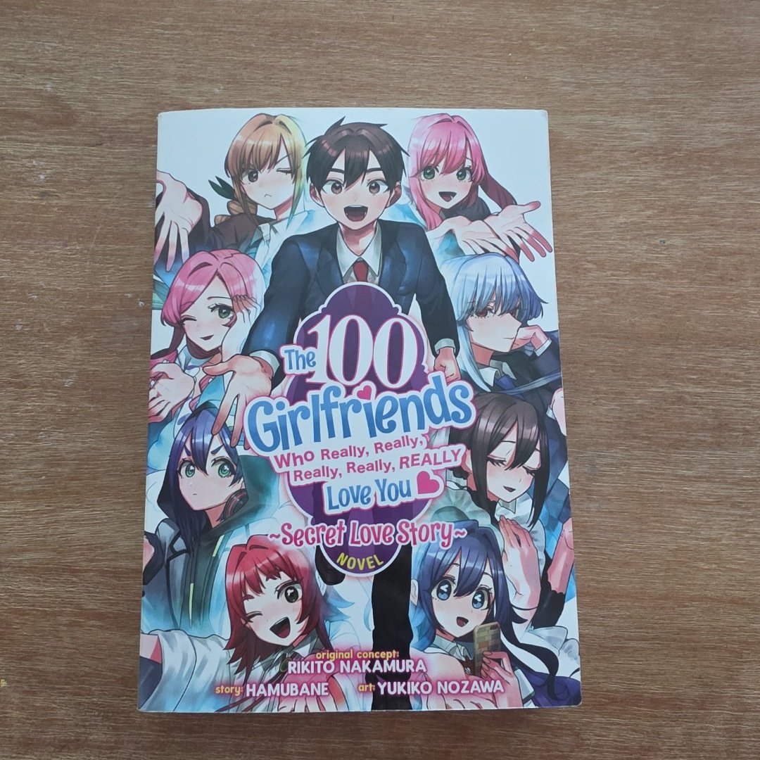 The 100 Girlfriends Who Really, Really, Really, Really, Really Love You: Secret Love Story (Light Novel)