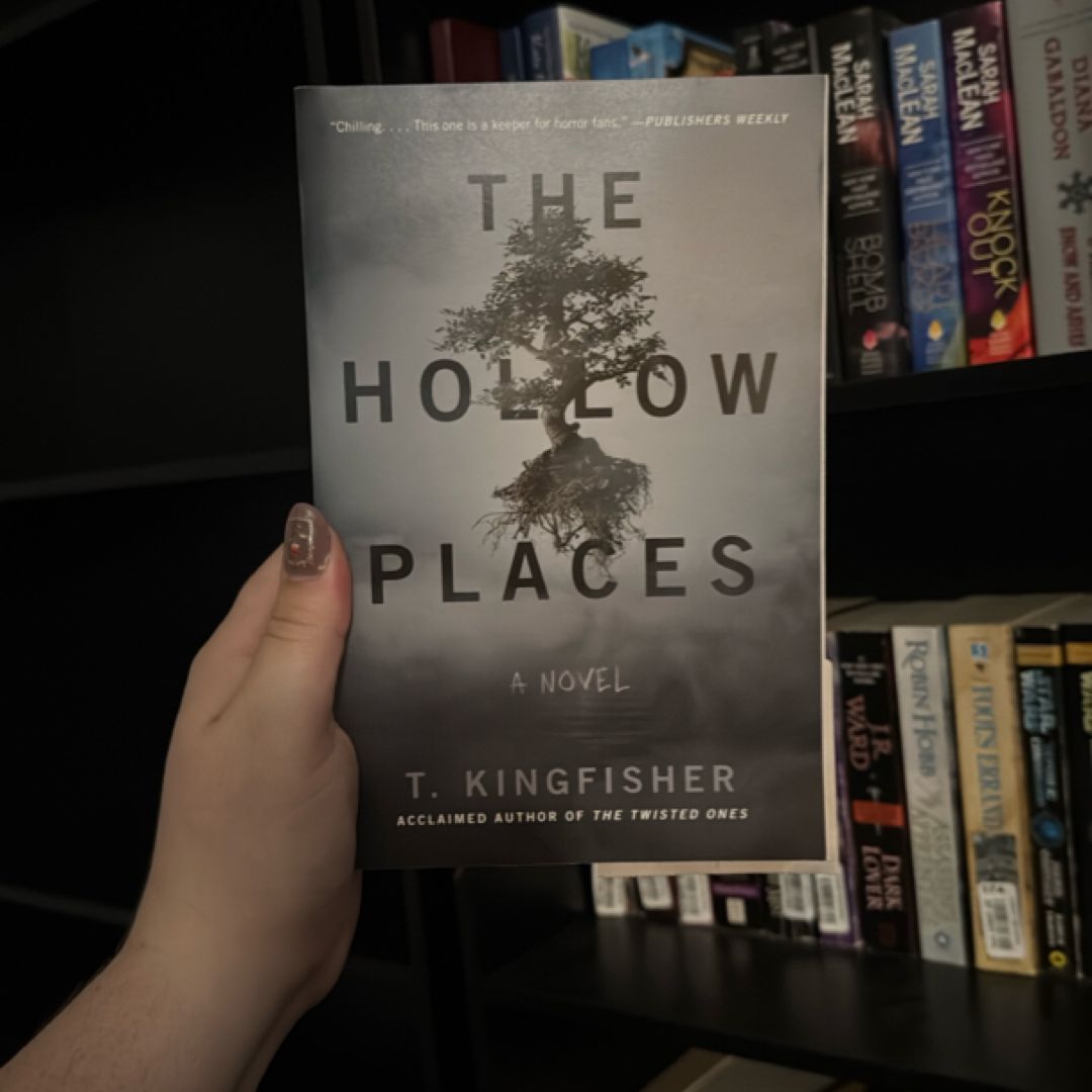 The Hollow Places