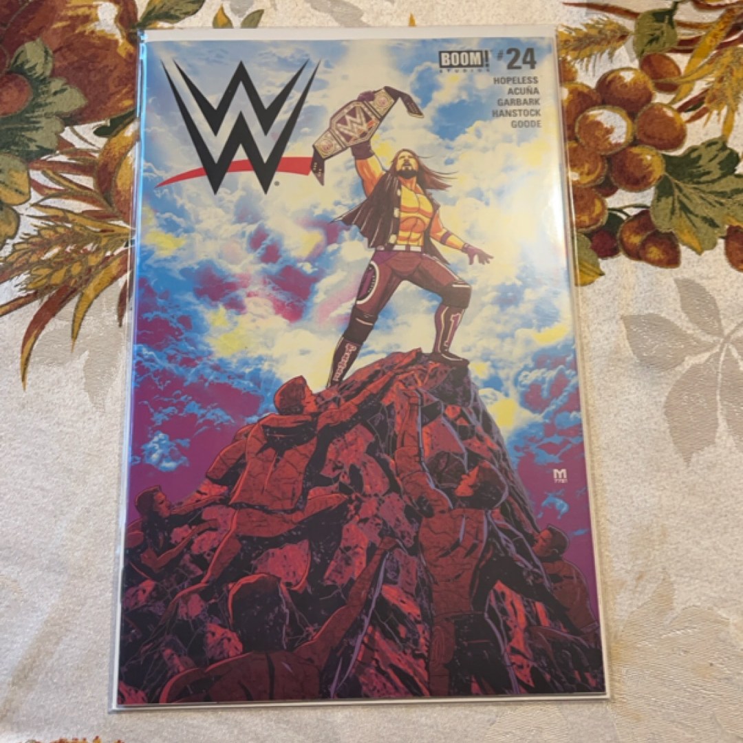 WWE #24 Comic