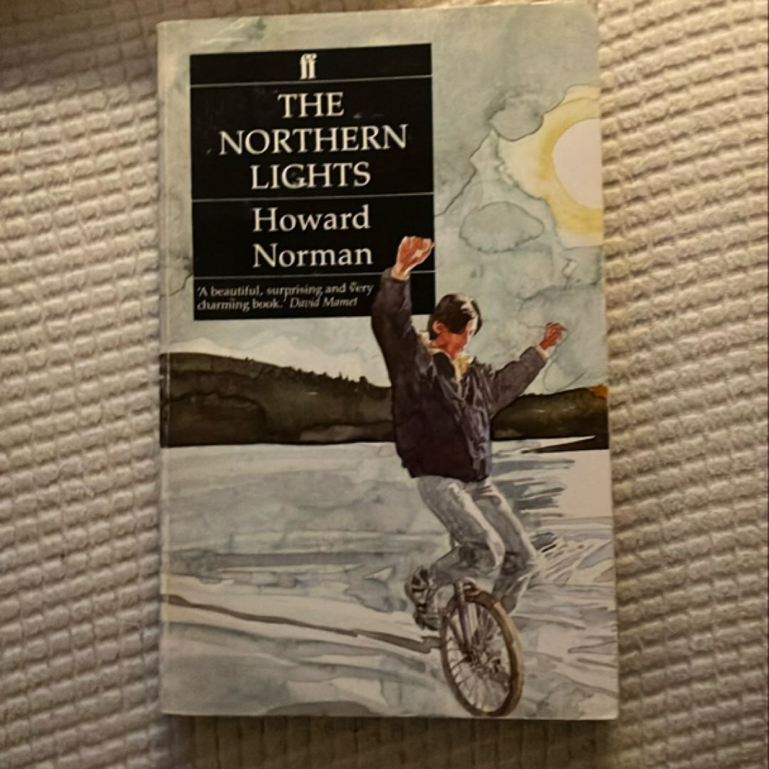 The Northern Lights