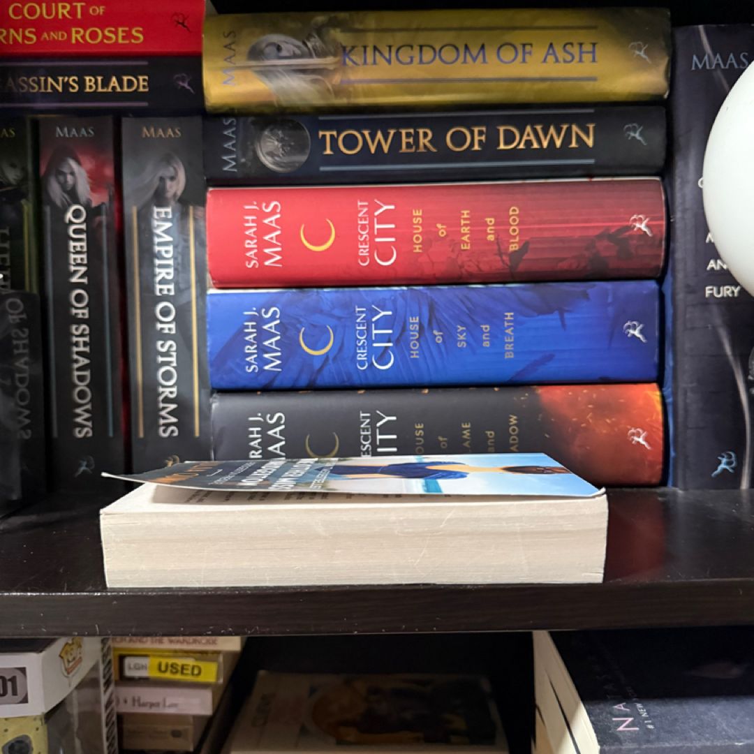 The Other Miss Bridgerton