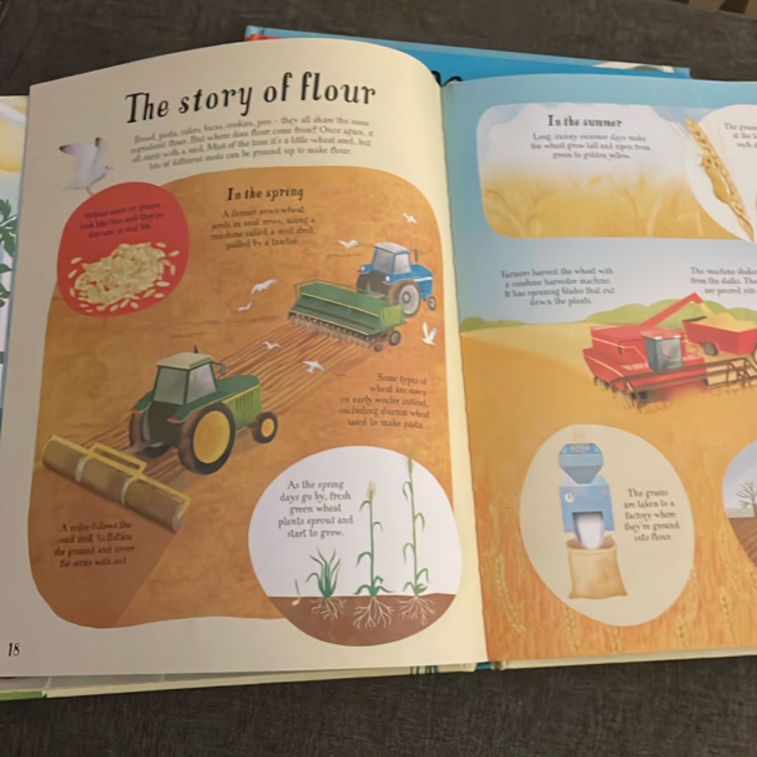 How Food Grows