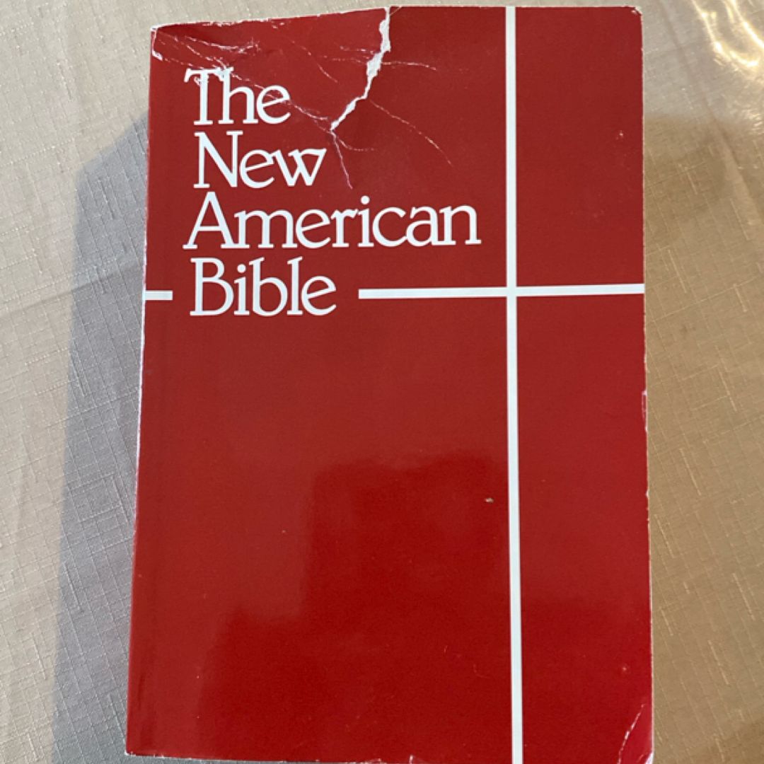 NABRE Bible