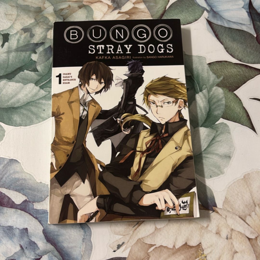 Bungo Stray Dogs, Vol. 1 (light Novel)