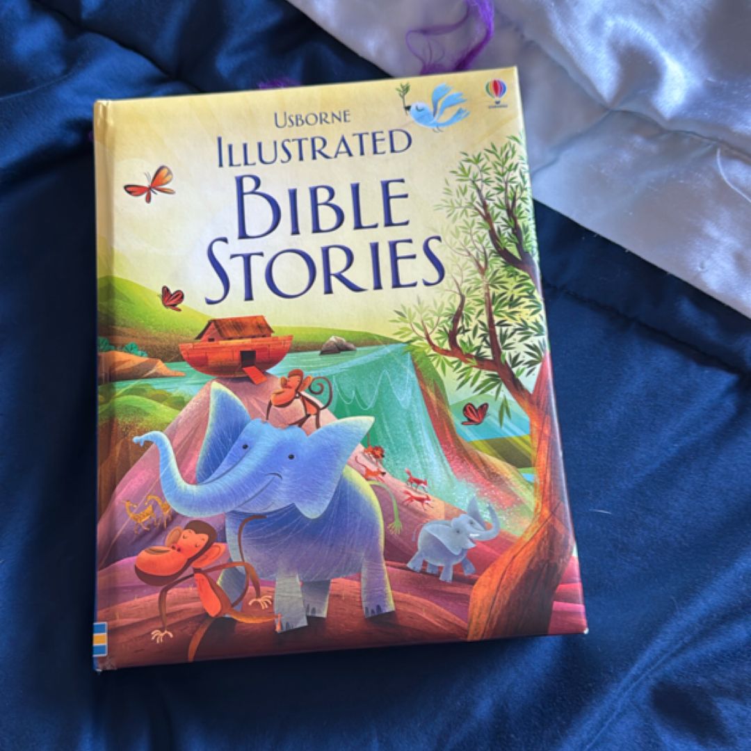 Illustrated Bible Stories