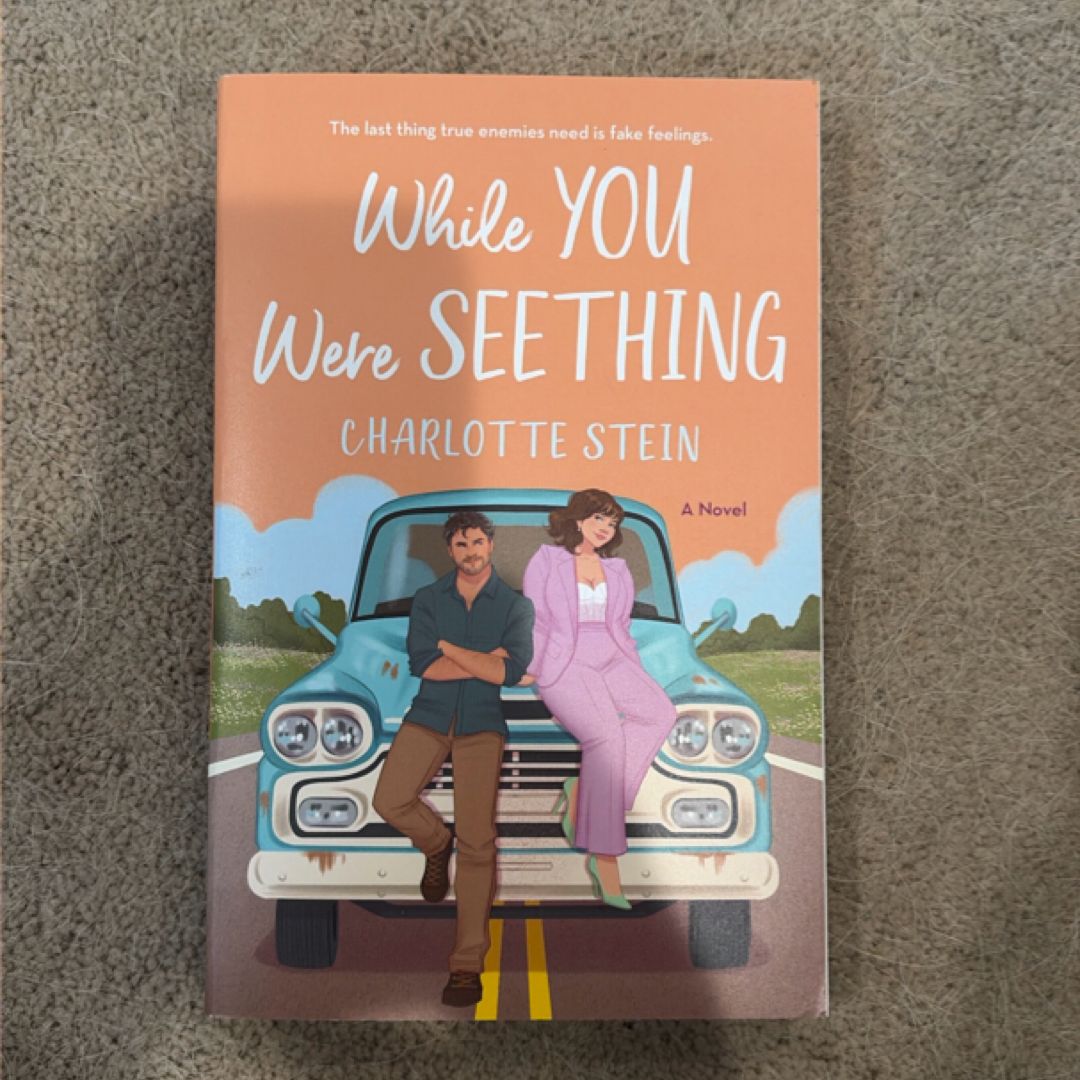 While You Were Seething