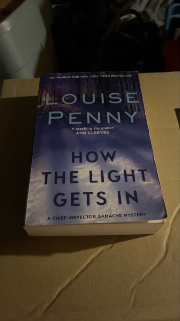 How the Light Gets in