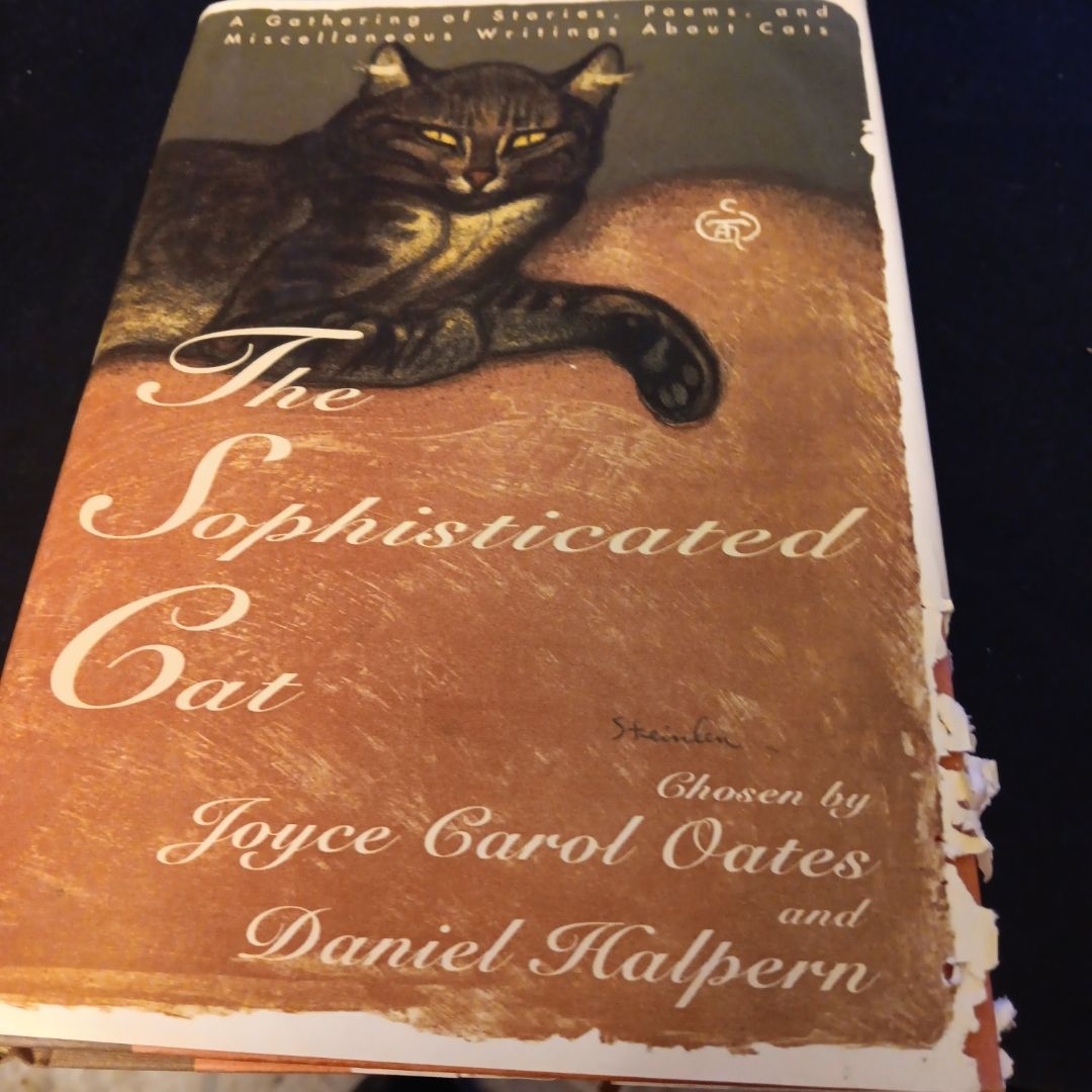 The Sophisticated Cat