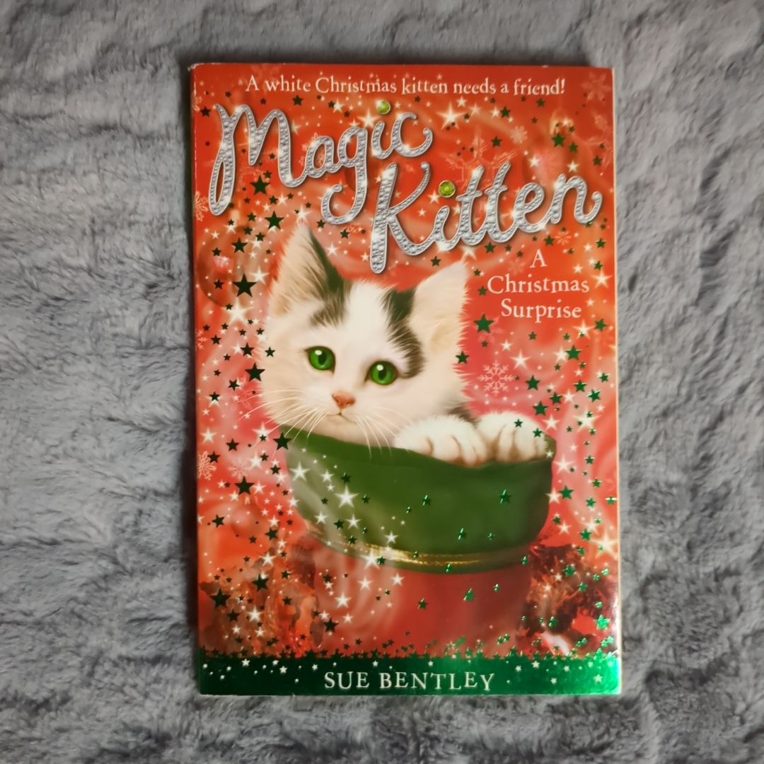 A Christmas Surprise