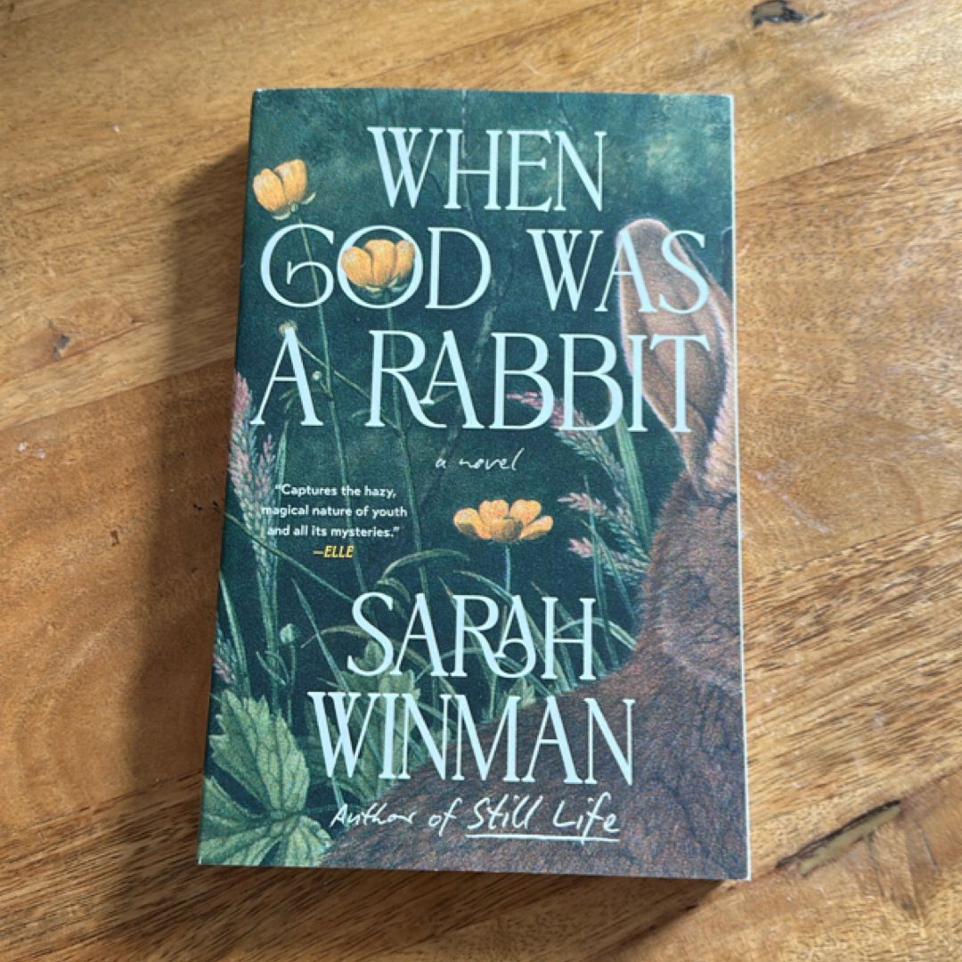 When God Was a Rabbit