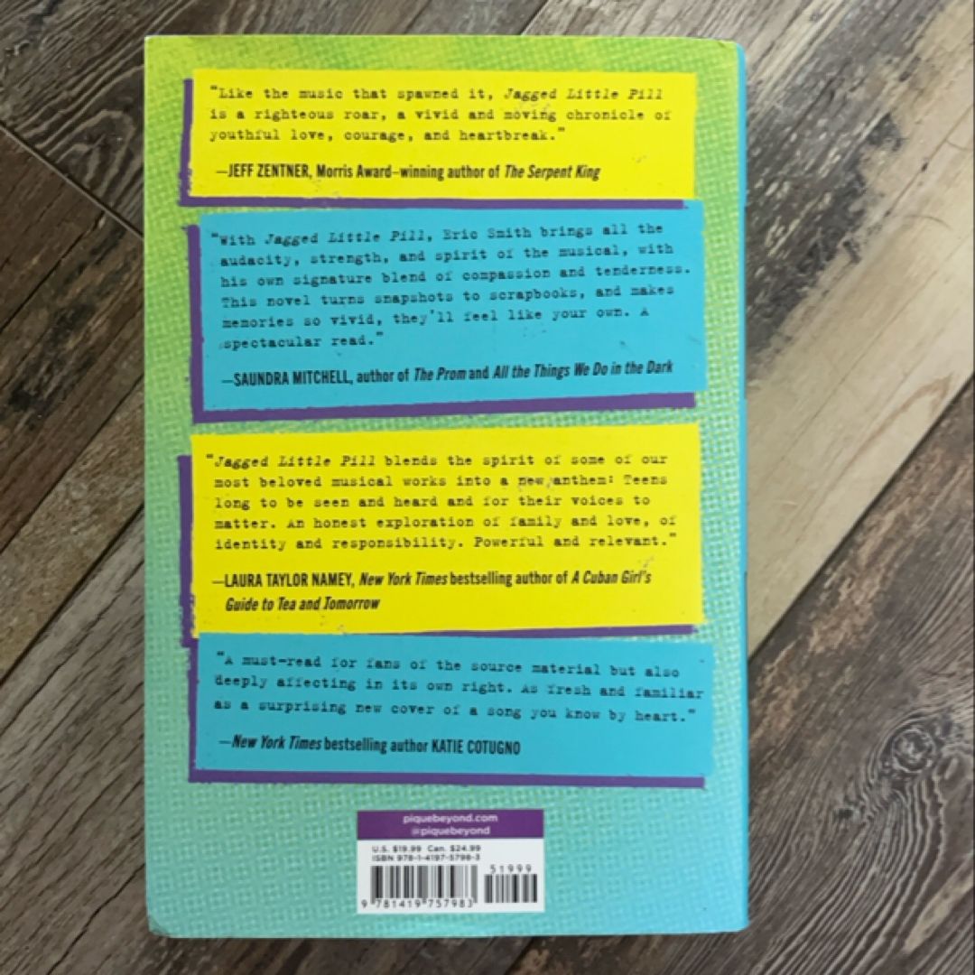 Jagged Little Pill: the Novel
