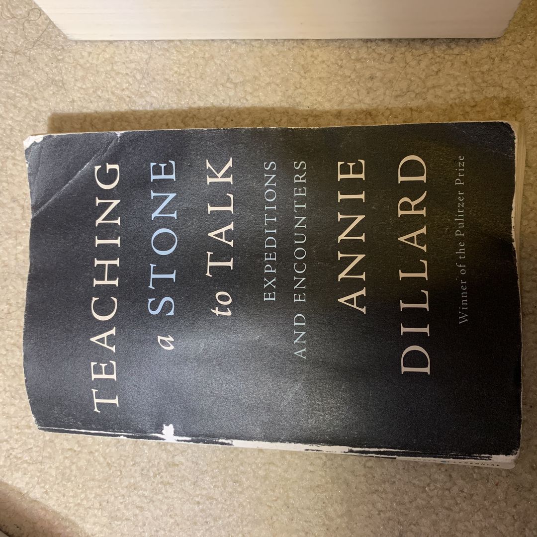 Teaching a Stone to Talk