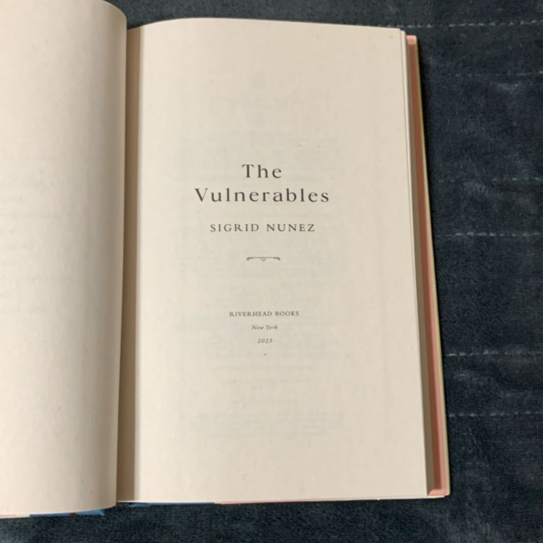 The Vulnerables (new)
