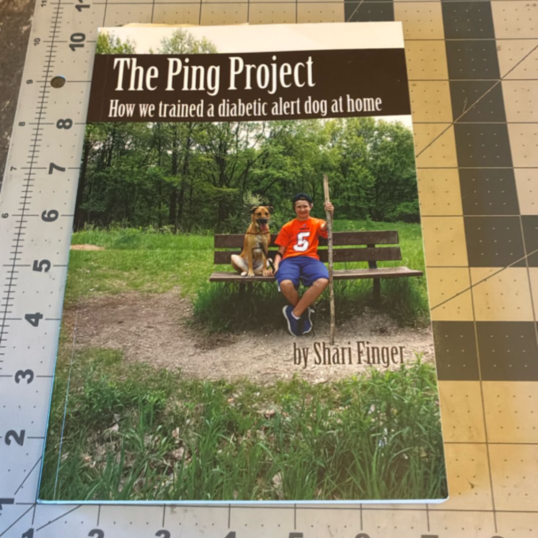 The Ping Project